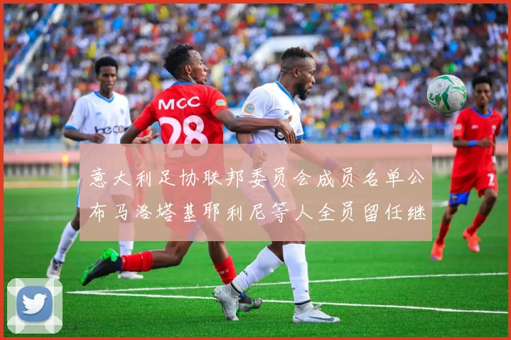 意大利足协联邦委员会成员名单公布马洛塔基耶利尼等人全员留任继续服务